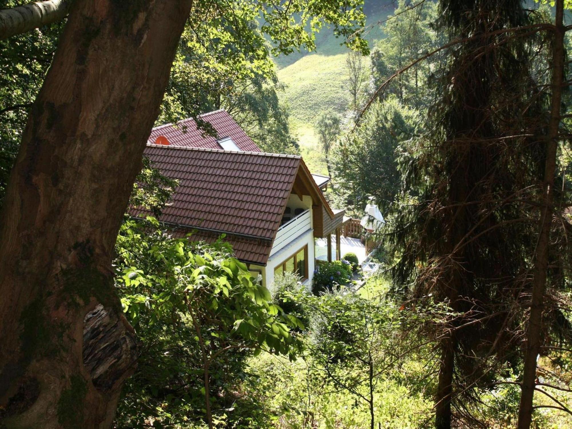 Apartment Haus Am Berg Lonau Kültér fotó